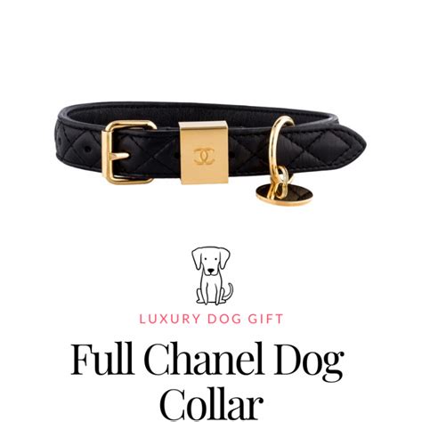 designer dog collars Chanel